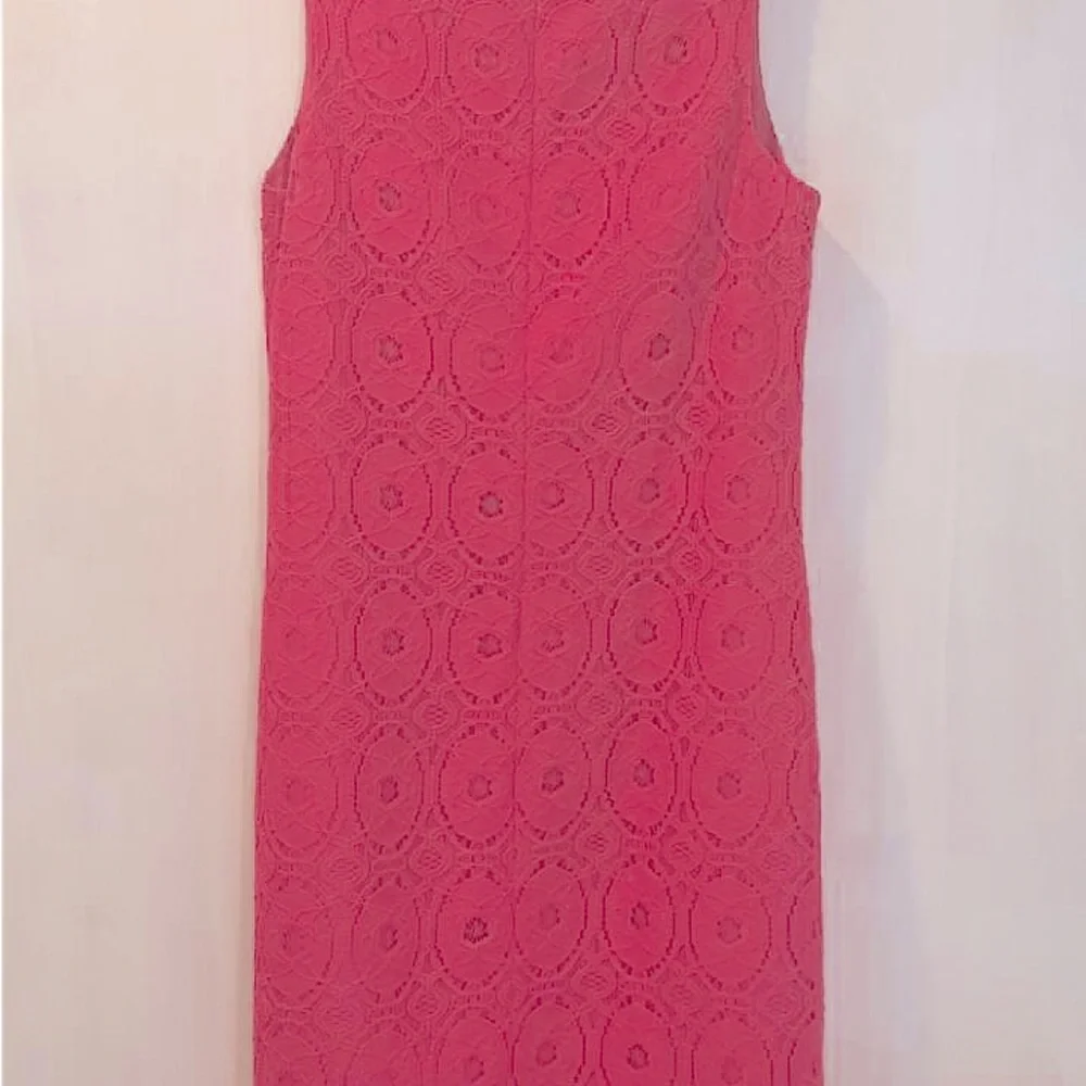 Pretty in Pink Lace Fitted Dress - Picture 2 of 3